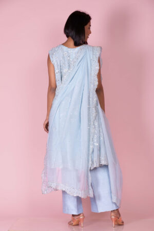 Organza Embroidered Suit with Trousers